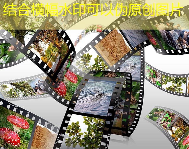 jogos da mente cassino tlc