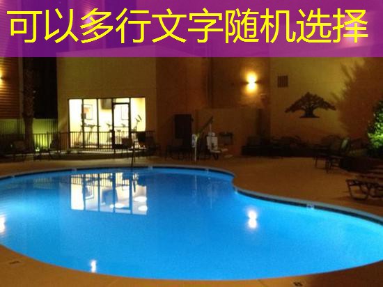 onde denunciar jogos eletronicos bingos cassinos em são paulo